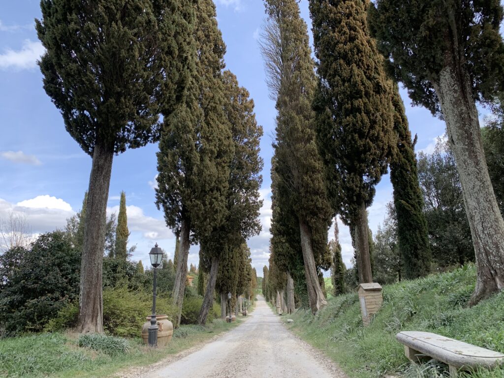 Backroads Tuscany bike tour