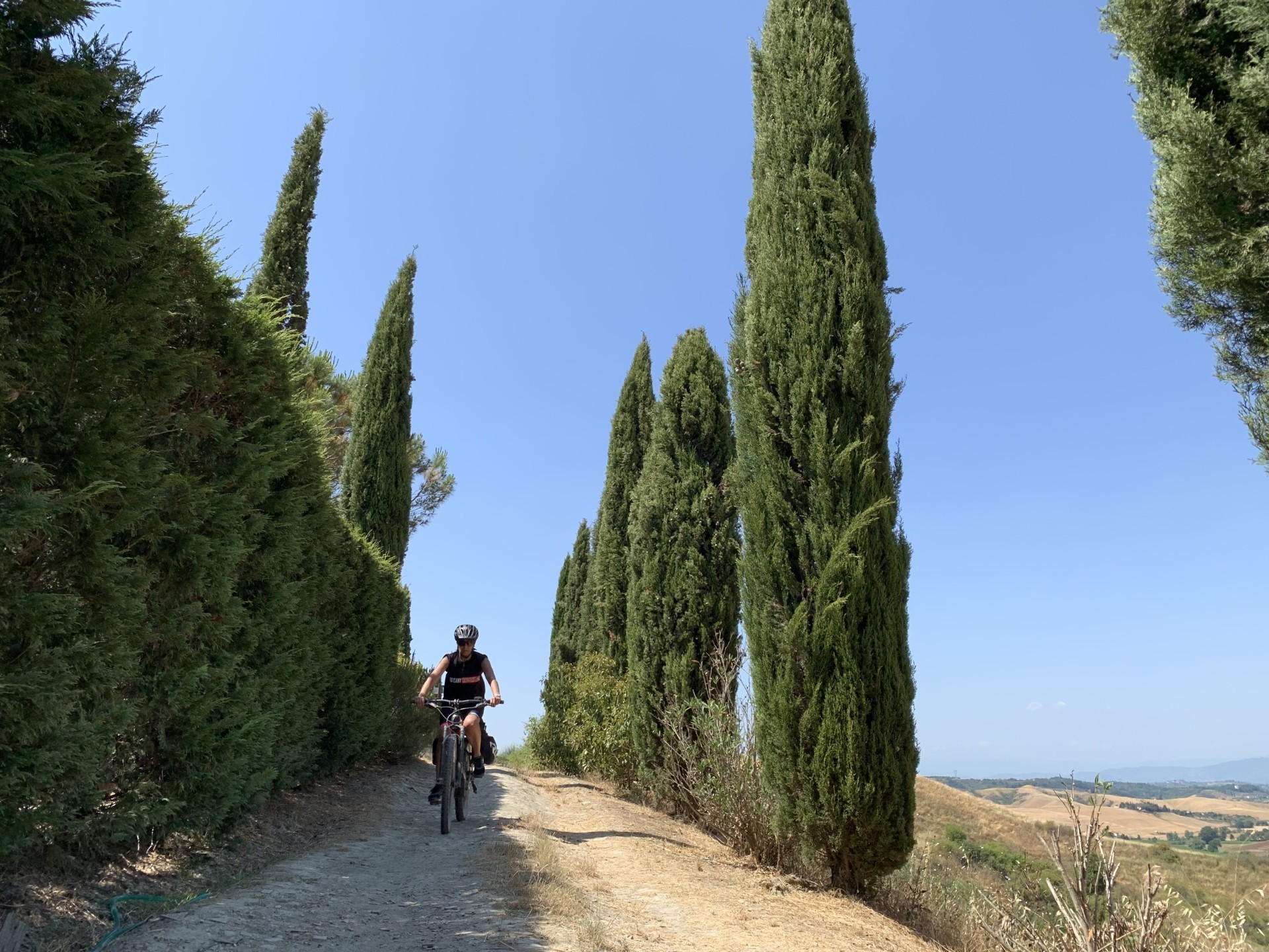 Via Francigena e-bike tour - pedaling in the shade of cypresses