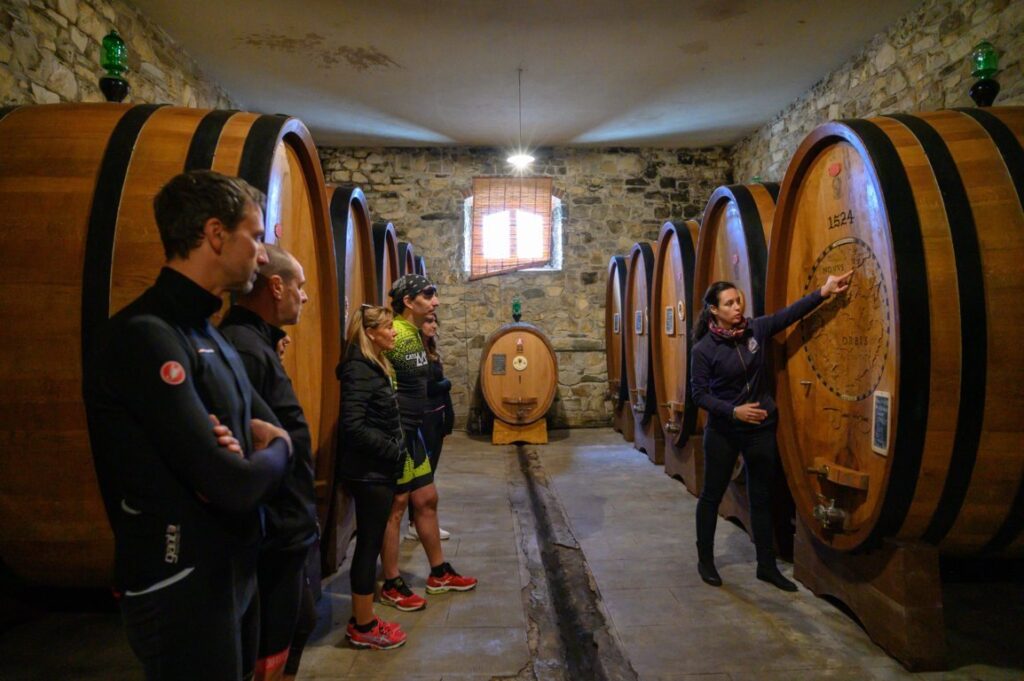 Wine tasting and cellar tour