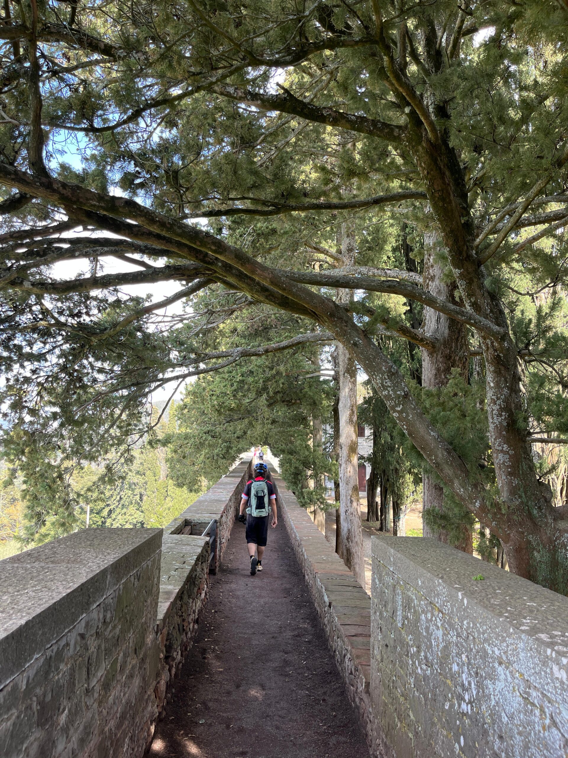 Brolio Castle ebike tour, walking on the wall