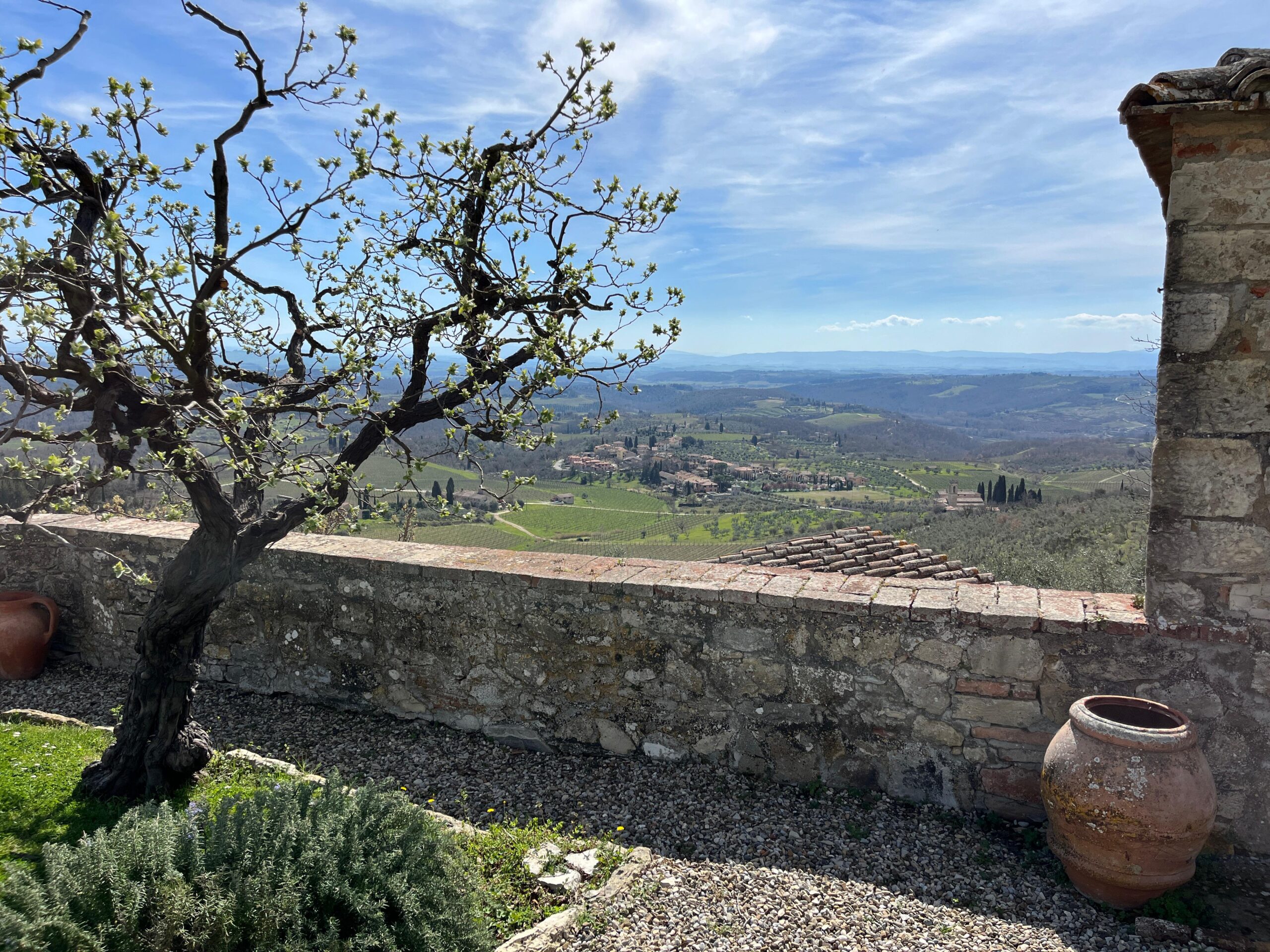 Brolio Castle ebike tour, amazing view