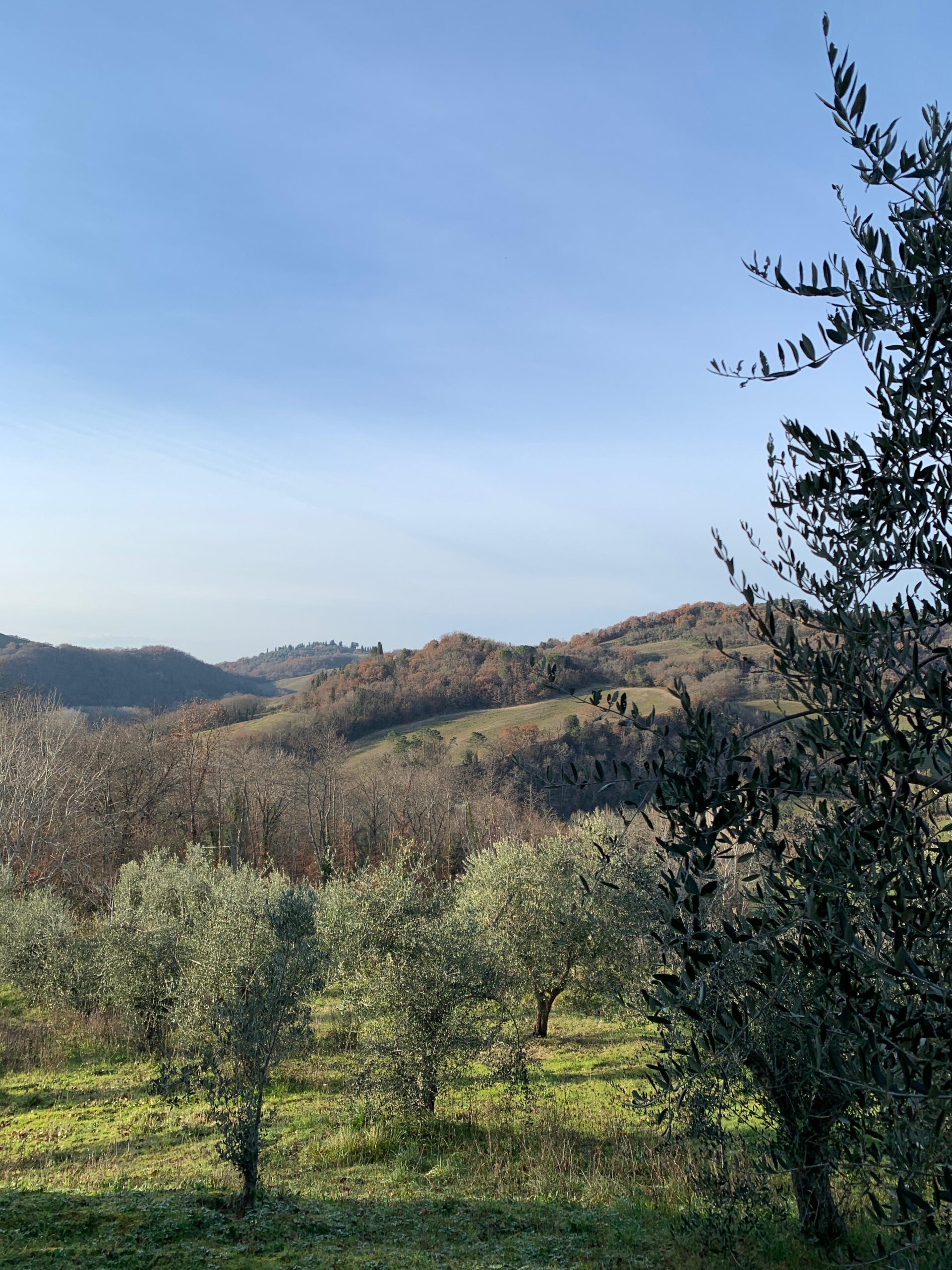 Montalcino - the view