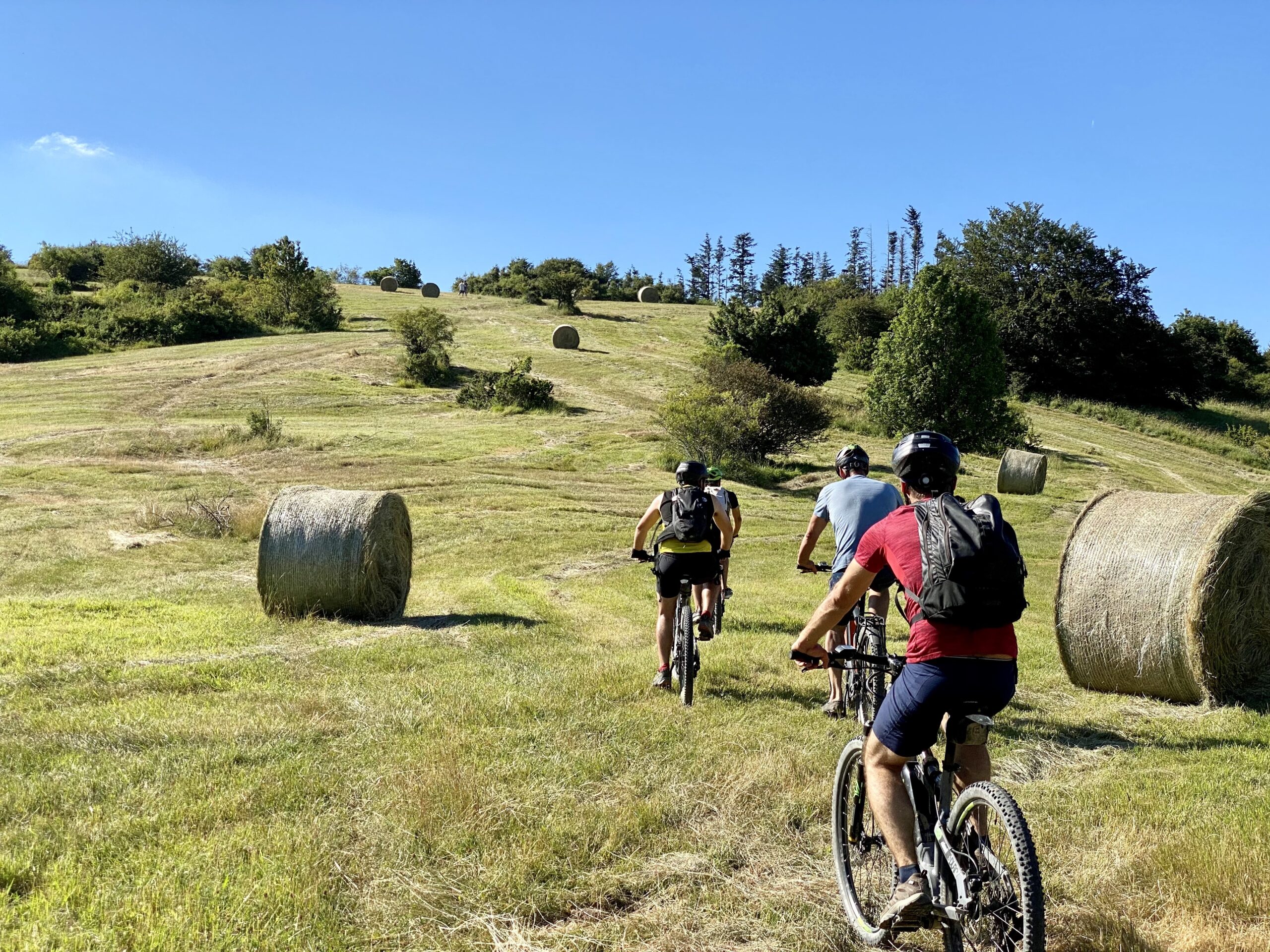 TransParco - Casentino e-bike tour